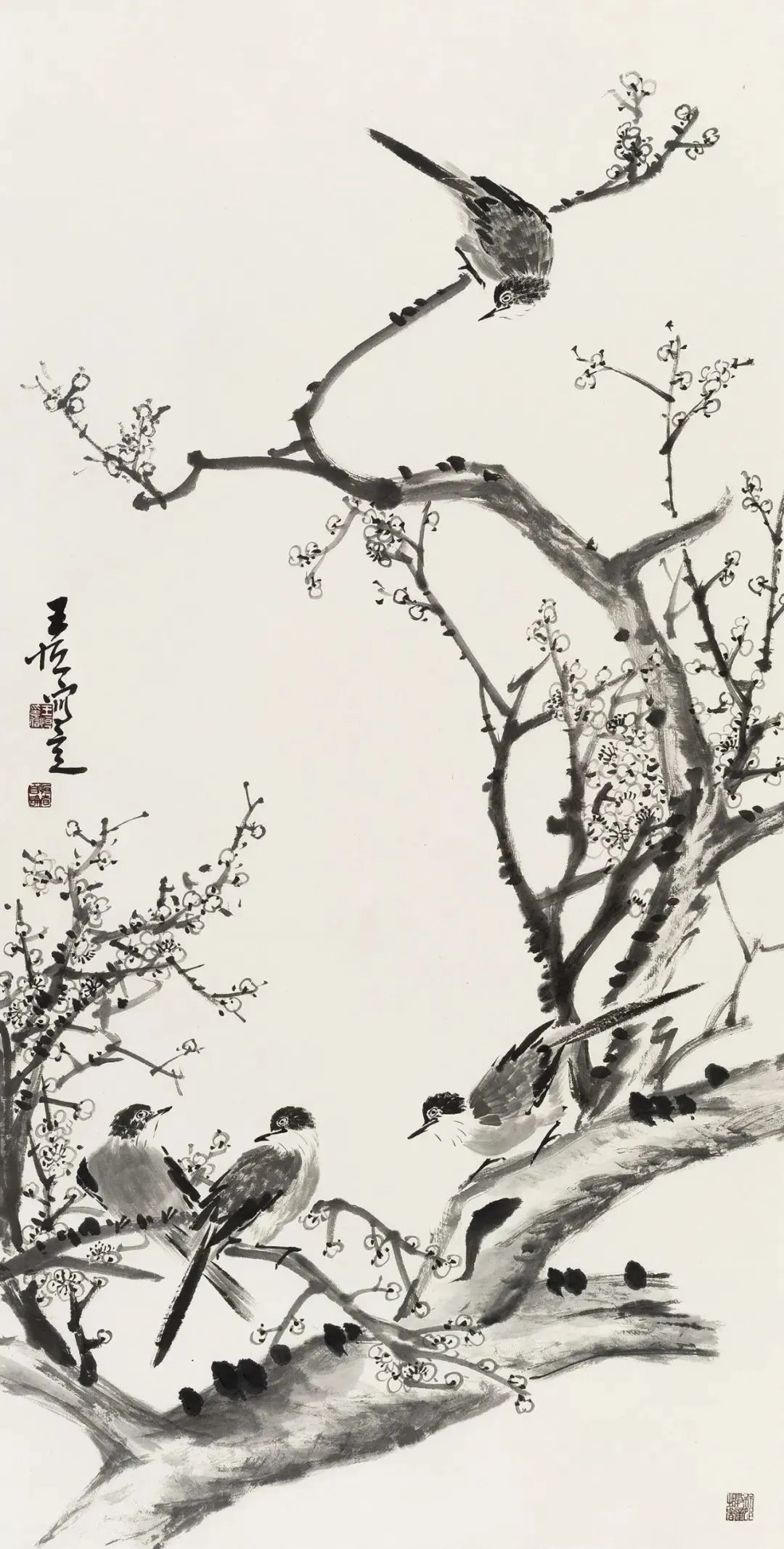 怒放的生命舞蹈年会,怒放的生命演出现场录音