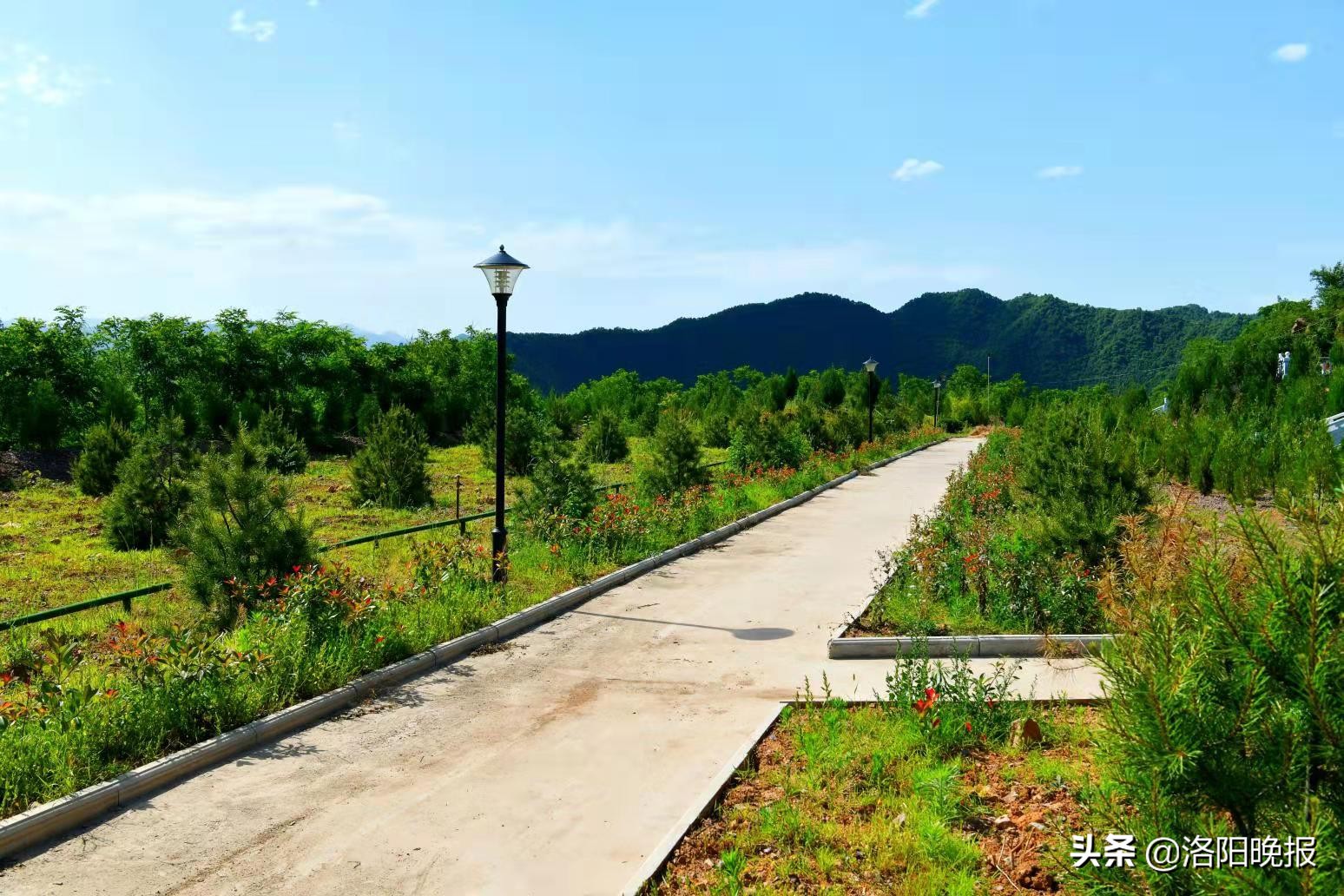 嵩县森林氧吧,嵩县生态