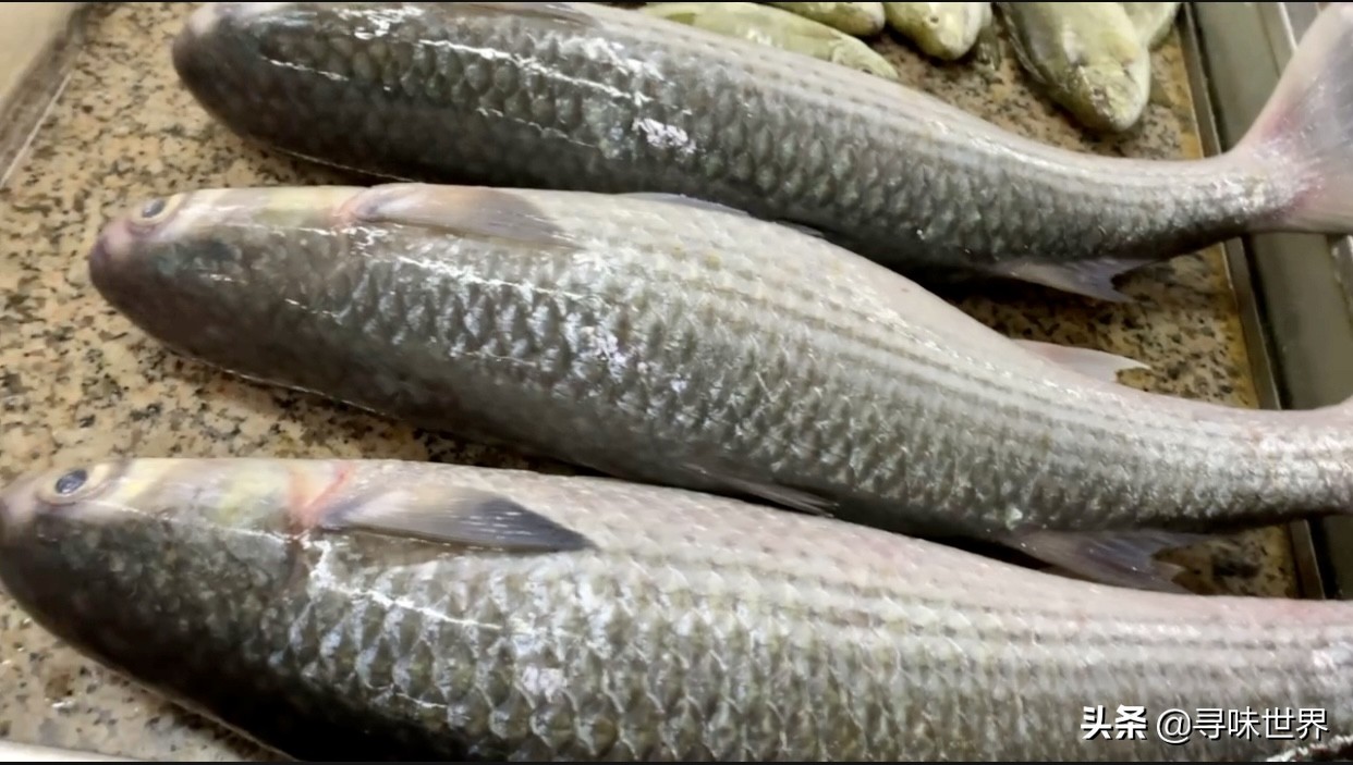 常见家常海鱼品种大全及图片,最好吃的海鱼品种大全及图片