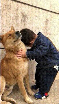 “老婆出差在宾馆给我发照片，桌子上那个是胶水吗？”哈哈哈哈