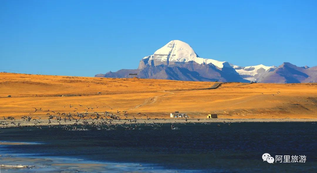 你永远可以相信迪丽热巴,你永远可以相信彝语的魅力