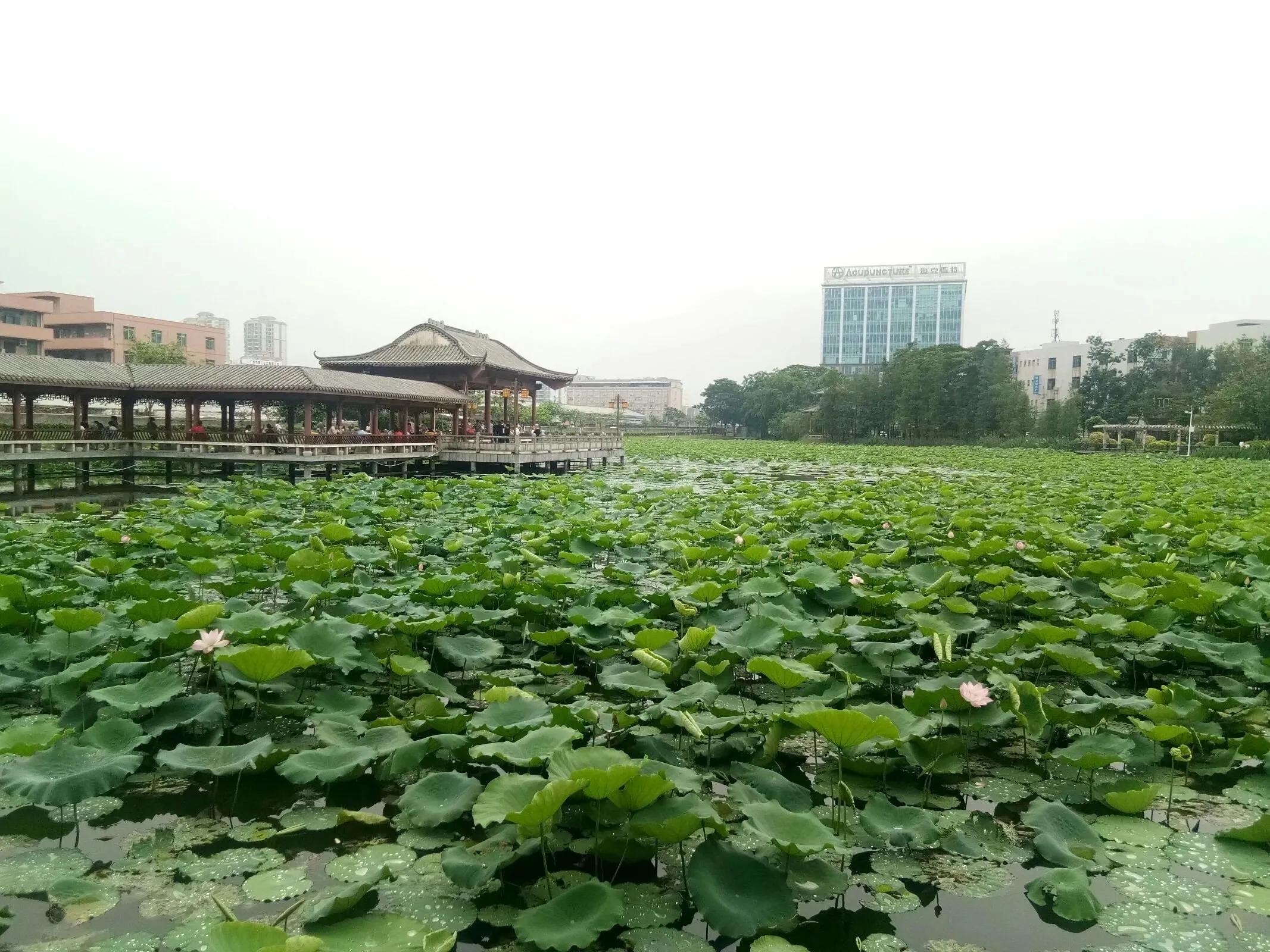 经典对仗的古诗词,古诗中与风雨对仗的诗句