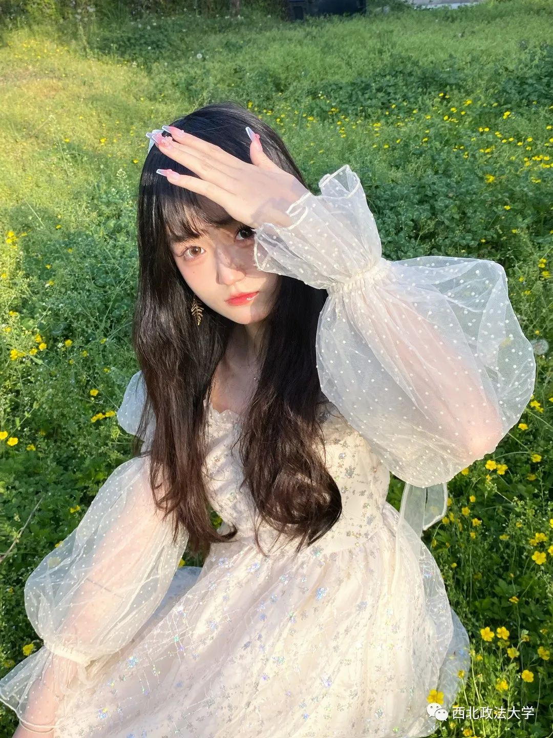 西法大到底是什么,西法大是什么意思网络用语