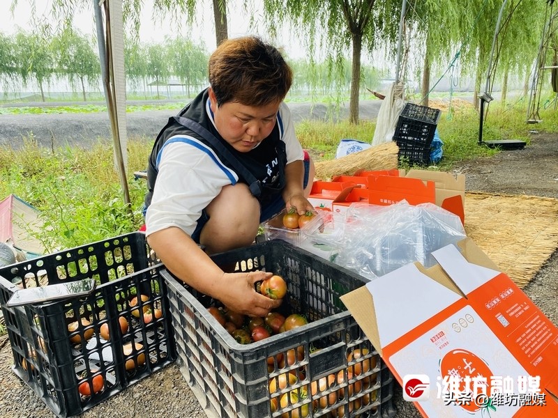 特色种养殖为乡村振兴添动能,实地调研把脉农业产业发展