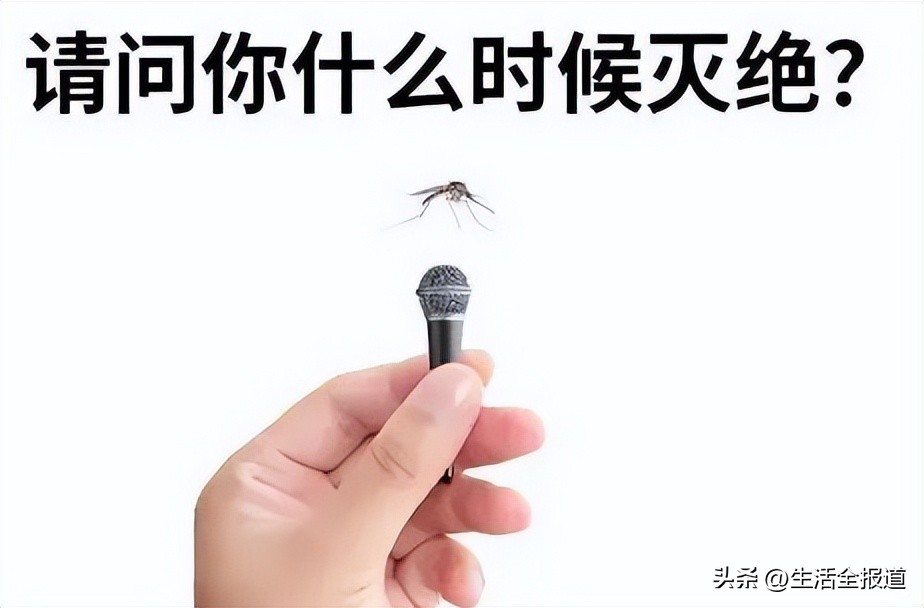 有什么老方法可以快速止痒蚊子包,怎么给蚊子包止痒