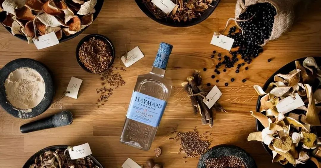 怎样快速了解酒知识,金酒基本知识定义