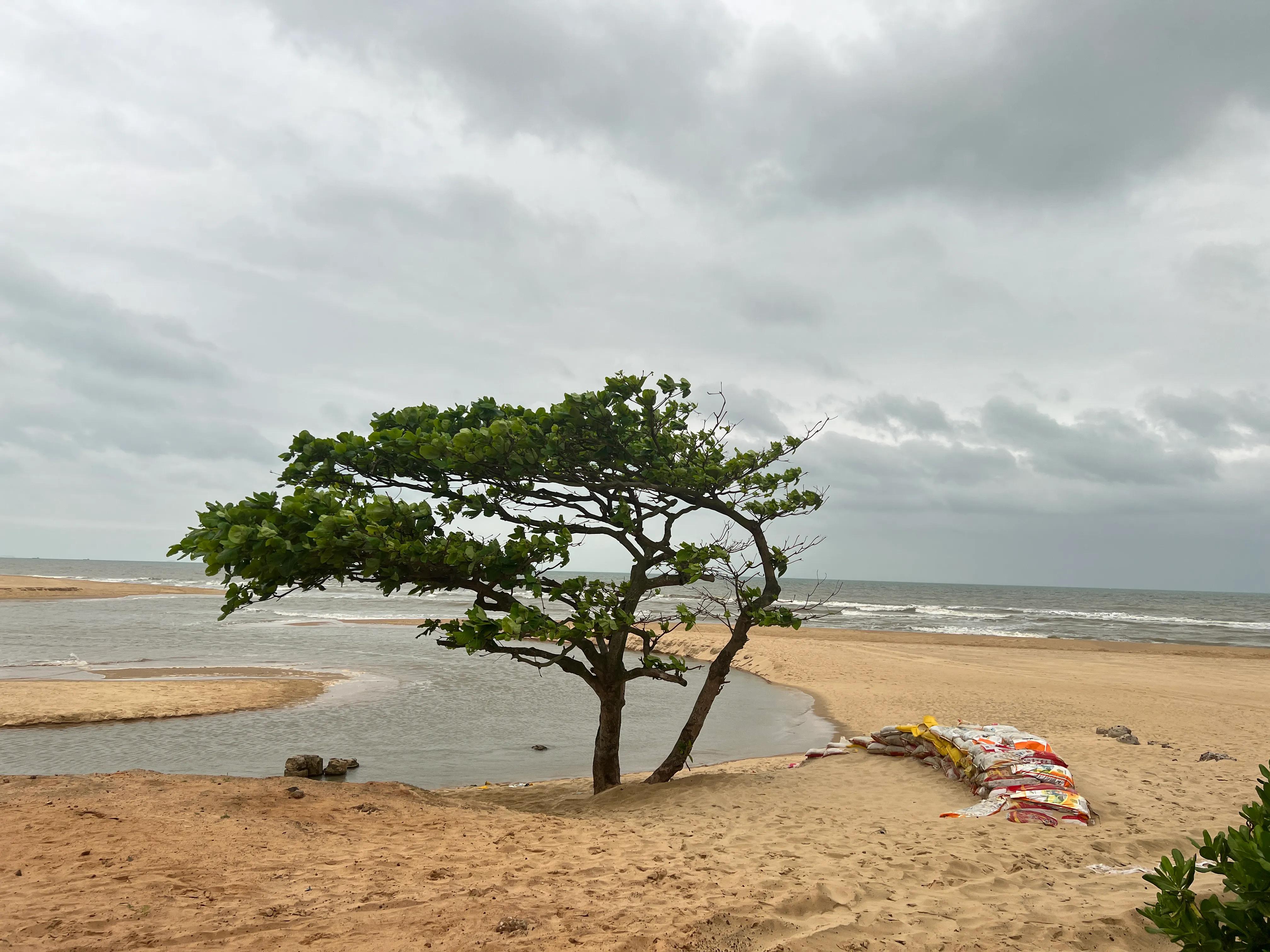 海南澄迈买房需要什么条件,海南澄迈买房的优缺点