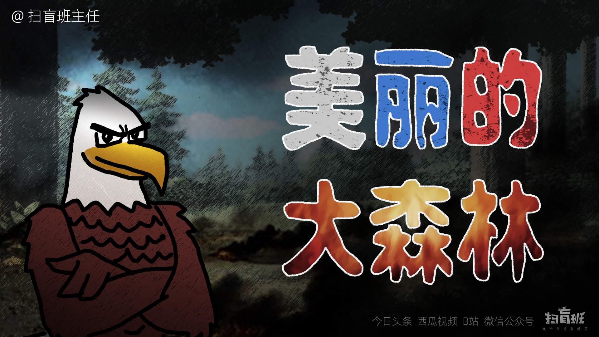 “一个不惹事的毛熊不是个好毛熊”——老鹰《美丽的大森林》