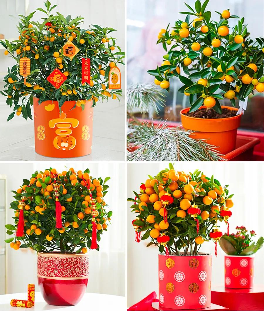 幼儿园儿童画新年主题线描画,幼儿园中班新年儿童画