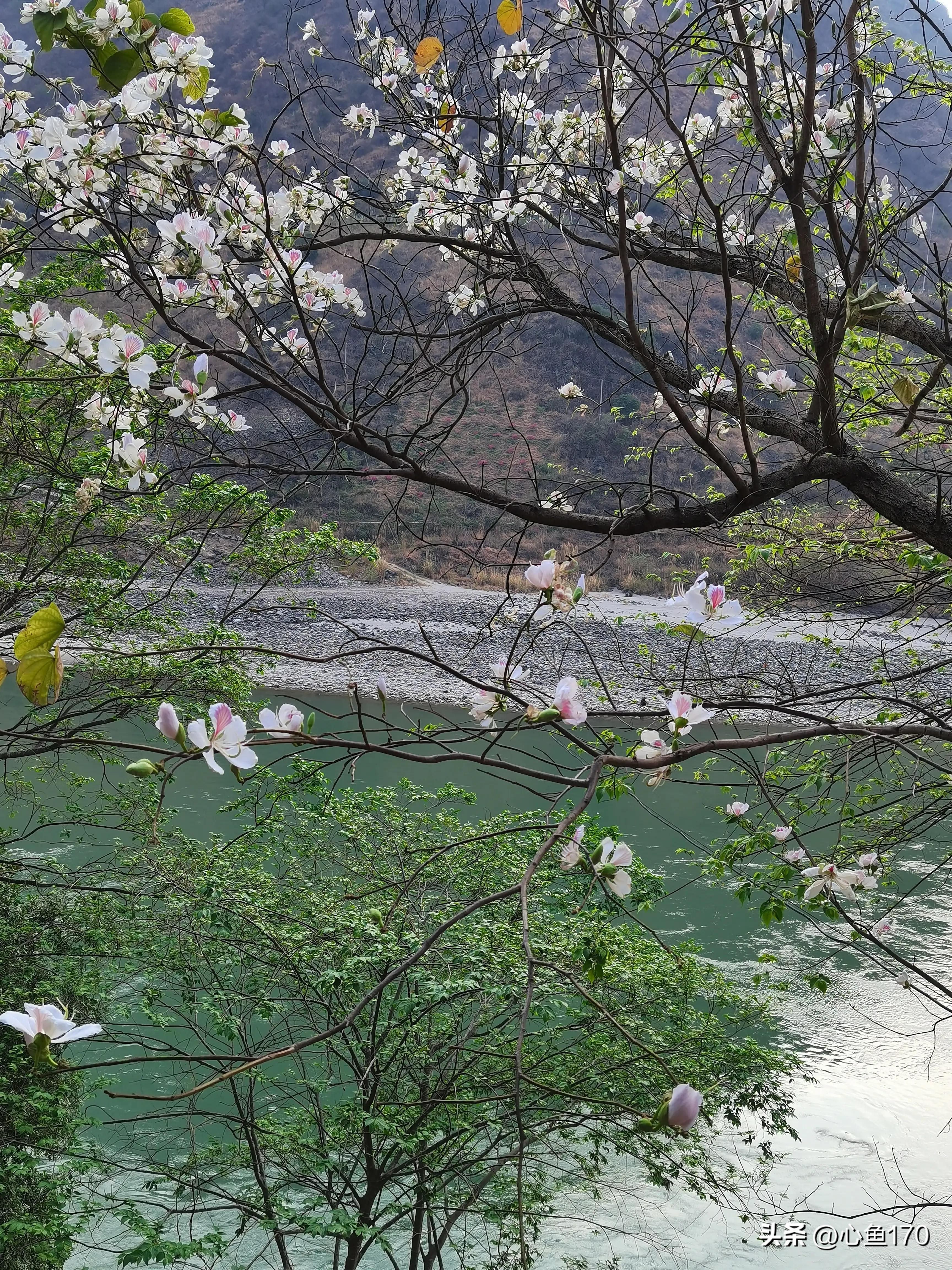 怒江泸水到贡山几公里,云南怒江七日游