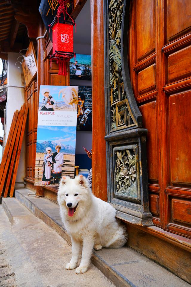 云南南部有一座古城,云南被遗忘的古城