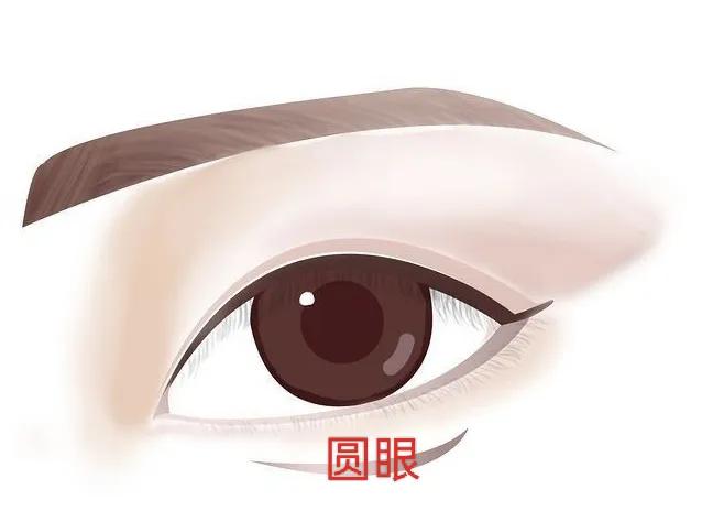 男人常见的眼型测试,常见好看的眼型