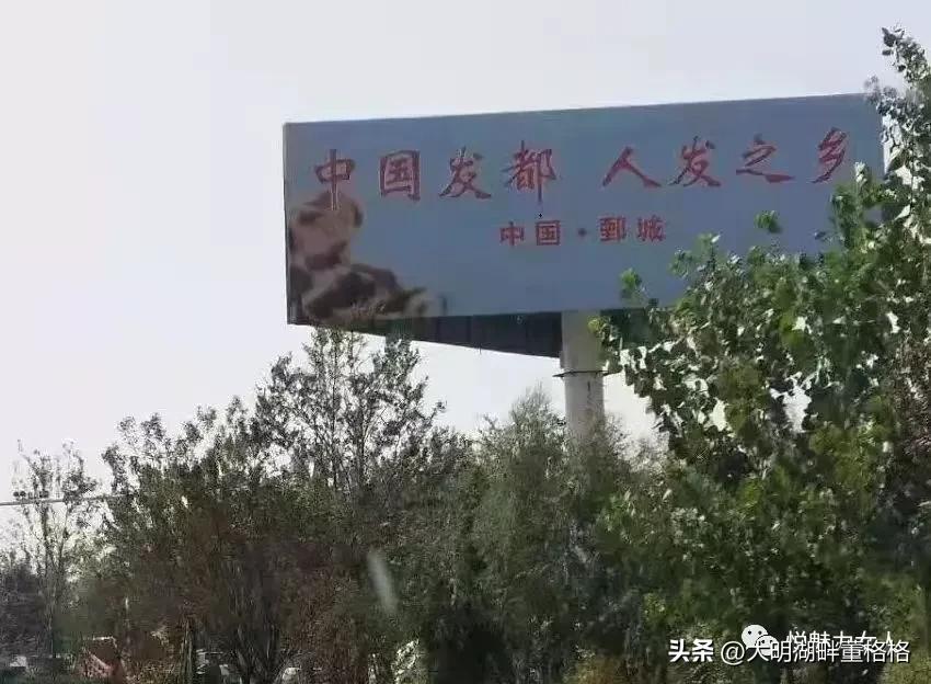 中国看牡丹花的地方有几个,中国牡丹看襄阳