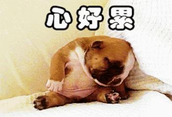 魔域手游搬砖攻略最新,游戏魔域手游新手搬砖攻略