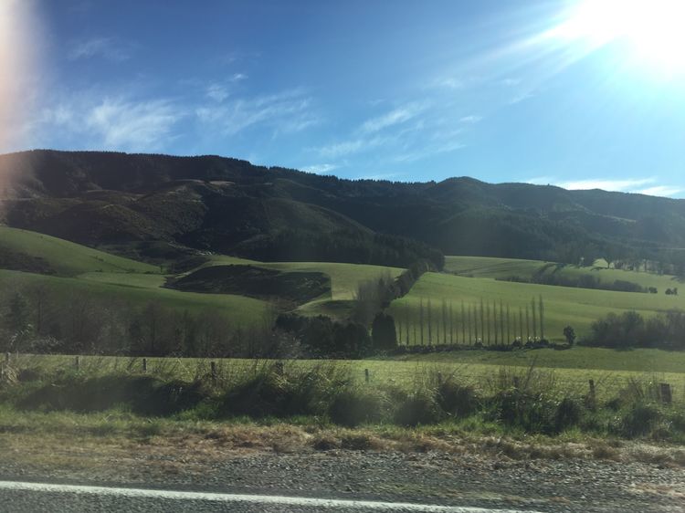 在新西兰如何找到南十字星,新西兰看南十字星