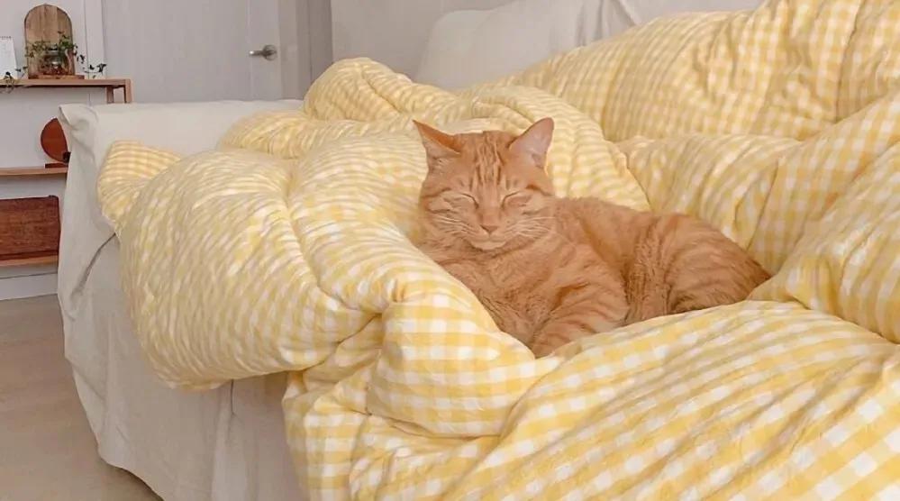 分享自媒体赚钱的15种方法,分享自媒体赚收益干货