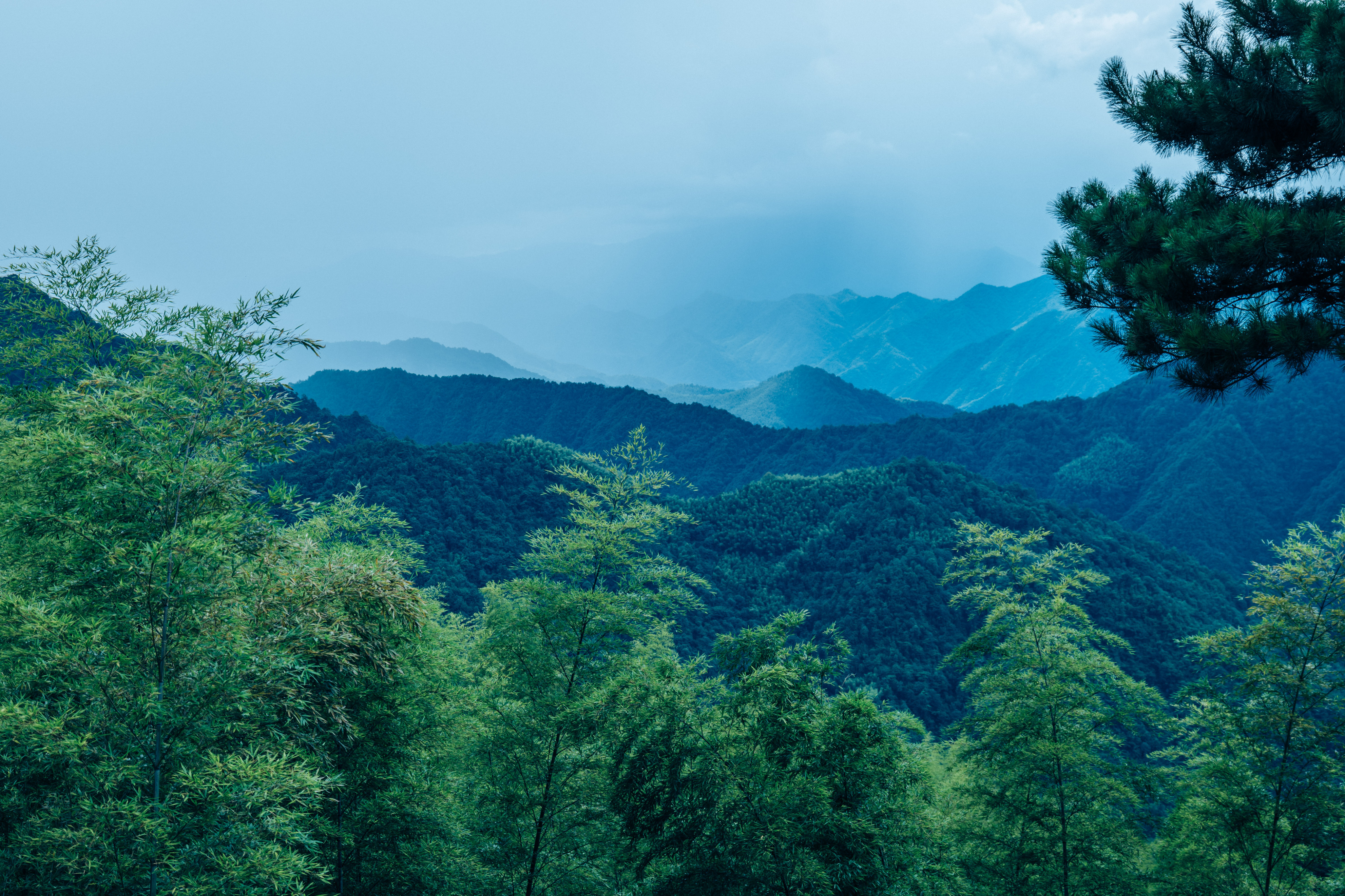 行游五府山：解密3宝，山野美味游走舌尖，传递平实的幸福