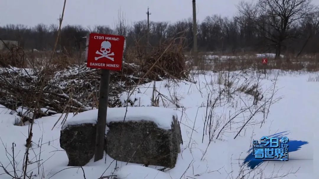 “开战日”直播撤军,听说这次俄乌最激烈的“战场”在中国微博?