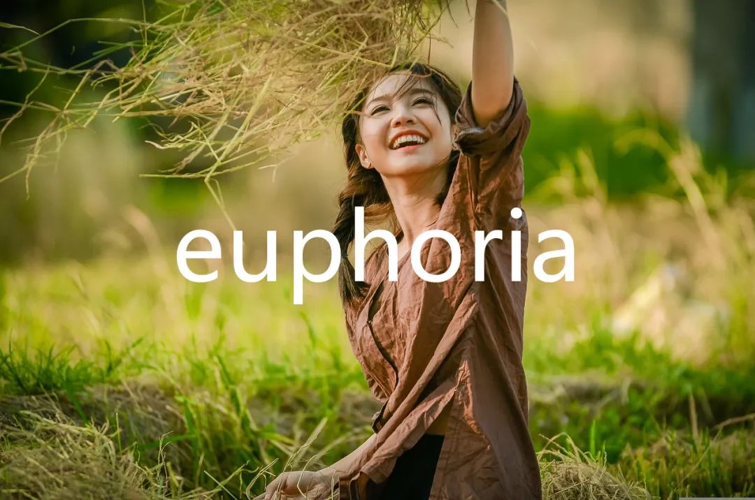 每日单词：euphoria
