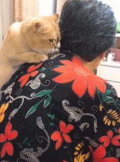 精神内耗去医院可以解决嘛,严重精神内耗患者的治愈之路