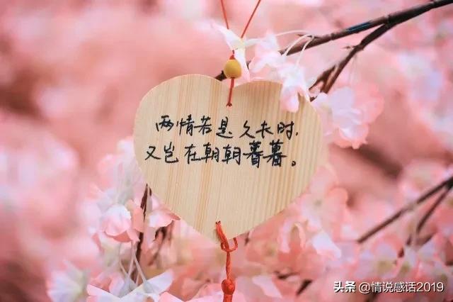 以你之名冠我之姓许你一世繁华,愿余生以我之名冠你之姓