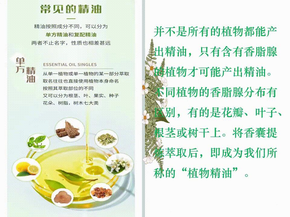 各种香味精油的作用,香遇白茶香护发精油