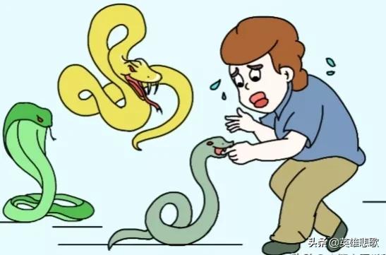 莽山烙铁头17.7公斤是真的吗,莽山烙铁头5000一条是真的吗