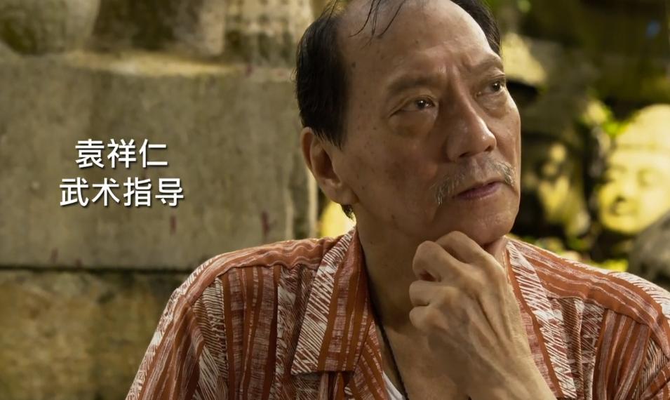 陈德森甄子丹电影,陈德森一个人的武林解析