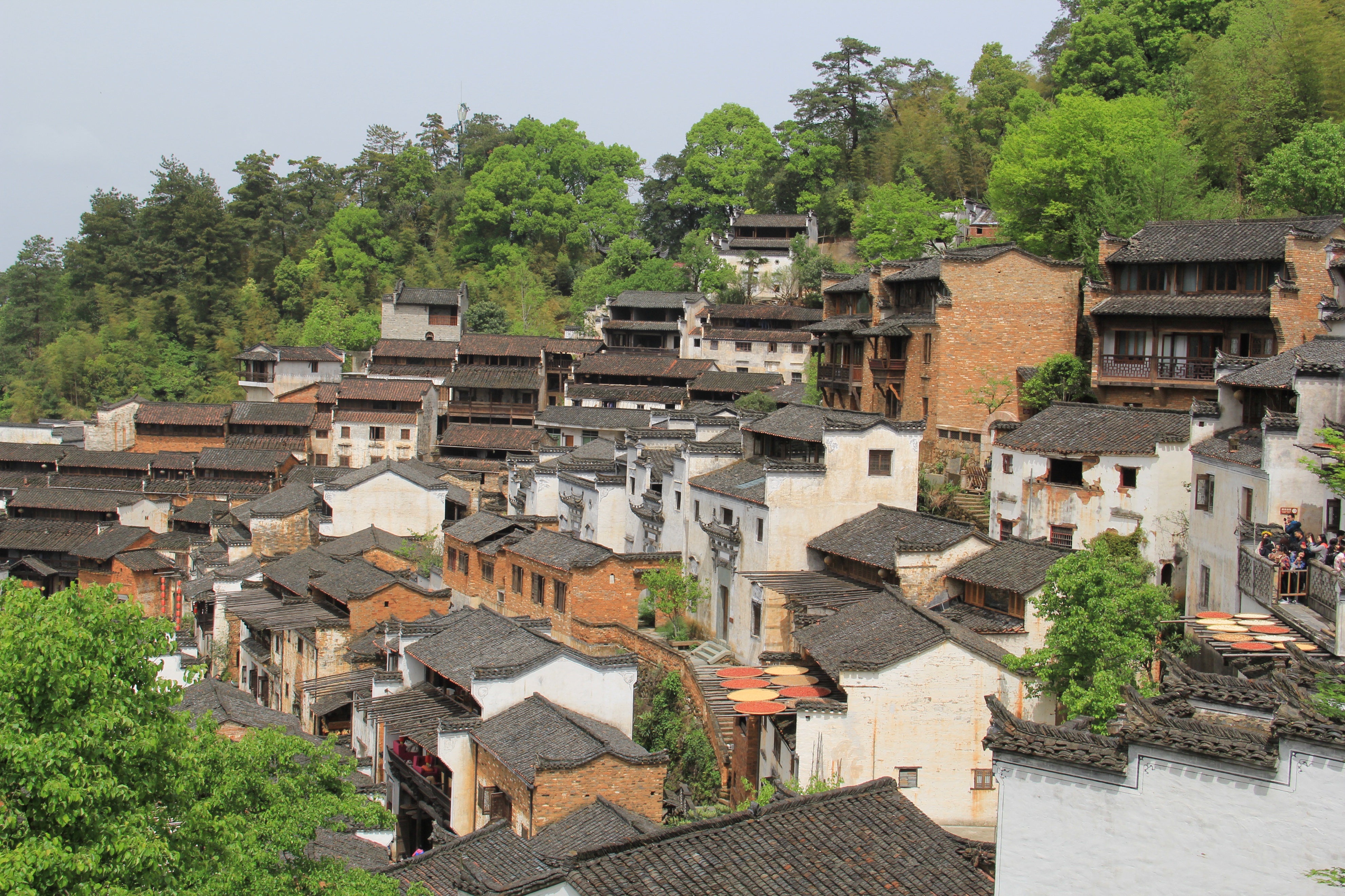 暑期江浙沪皖旅游攻略,苏浙沪清明假期旅游攻略