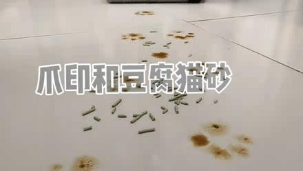 涔颁簡娲楀湴鏈哄氨鑳戒拱瀹㈠巺鍦版,鍦版涓婁篃鑳界敤鐨勬礂鍦版満