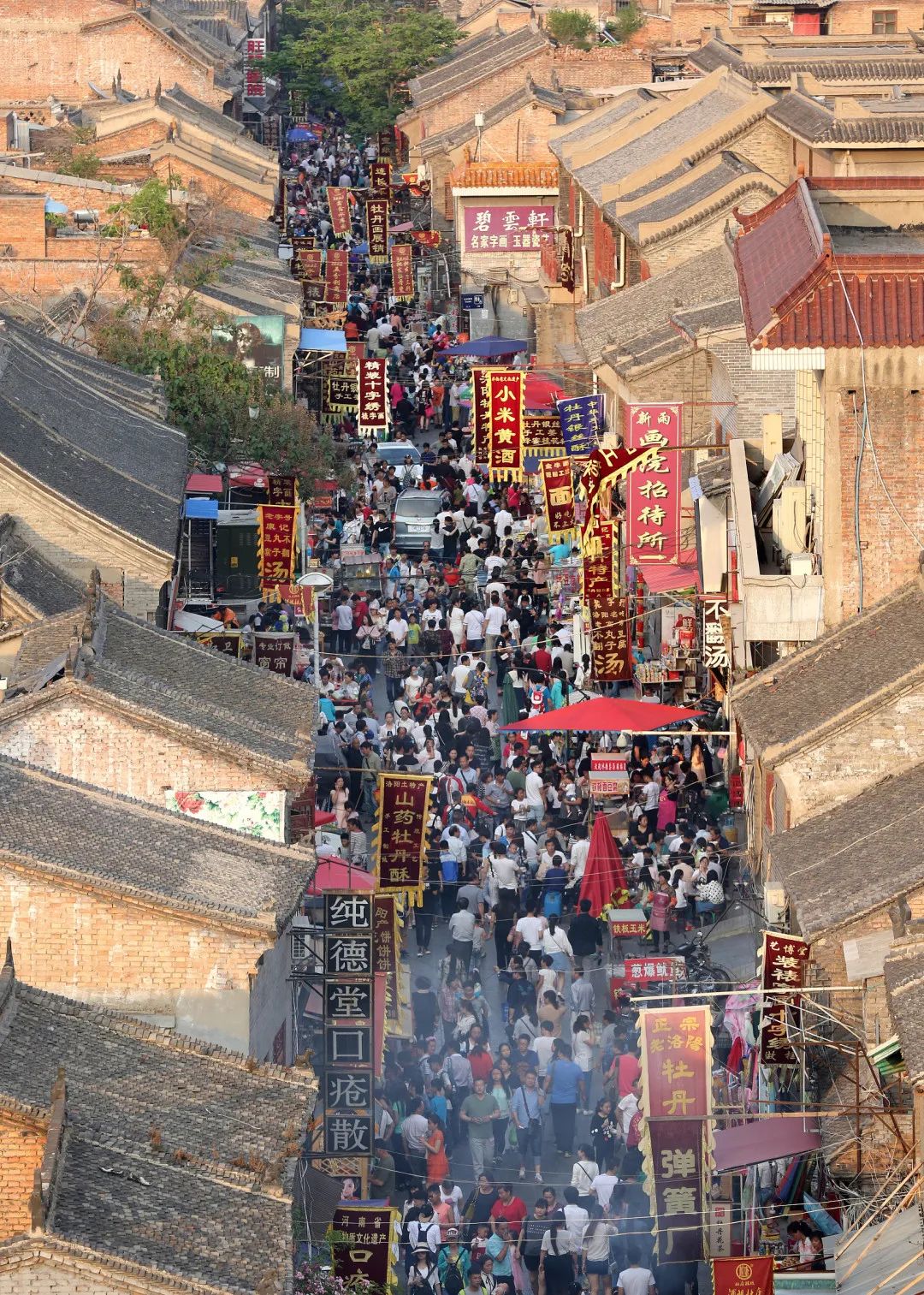 洛阳是宜居城市吗,洛阳是一个宜居城市吗