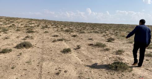 阿里蚂蚁森林怎么赚钱的,蚂蚁森林真的是阿里巴巴掏钱吗