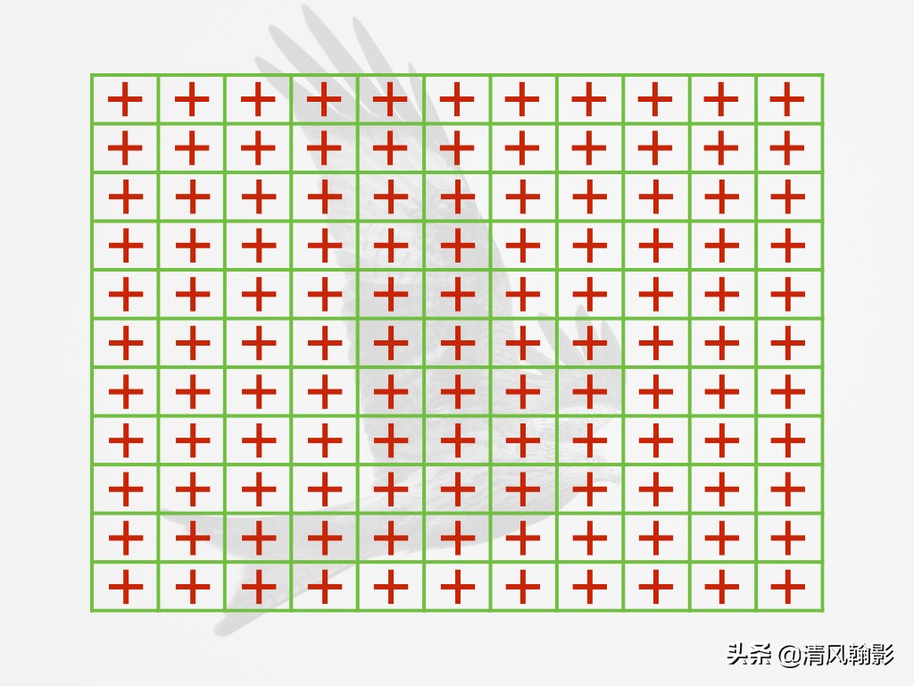 拍鸟用什么镜头性价比最高,拍鸟买r5还是r6好
