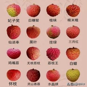 日军日记：*安妇慰**不服从管教，我很愤怒，用*刀刺**插入她的*体下**