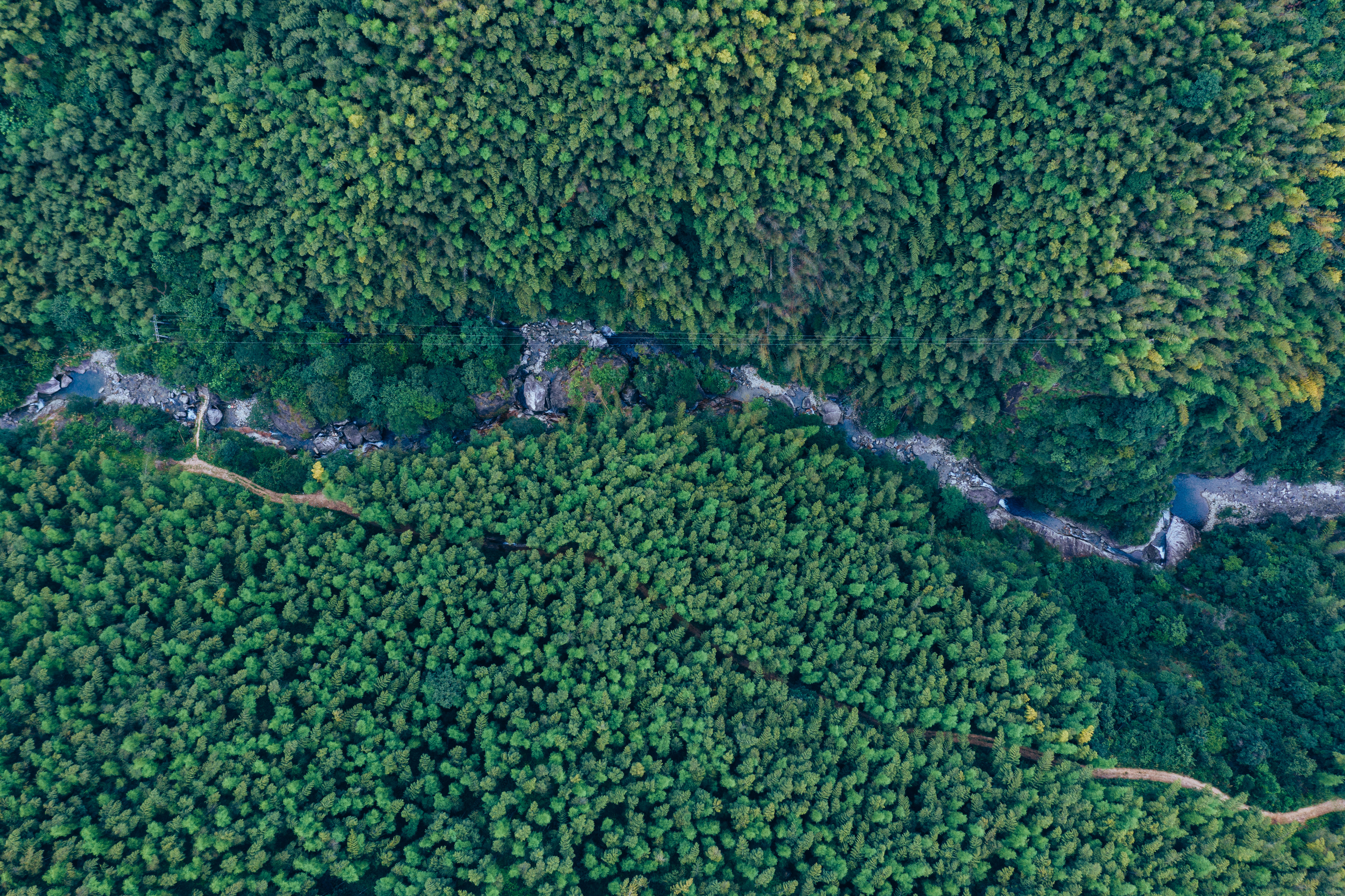 行游五府山：解密3宝，山野美味游走舌尖，传递平实的幸福