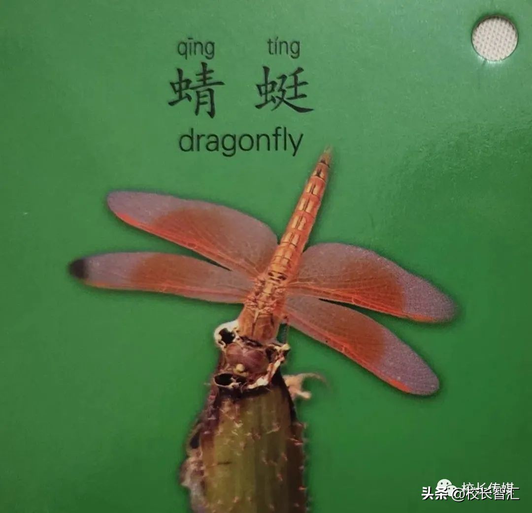 李瑞教课靠谱吗,李瑞训练方法视频