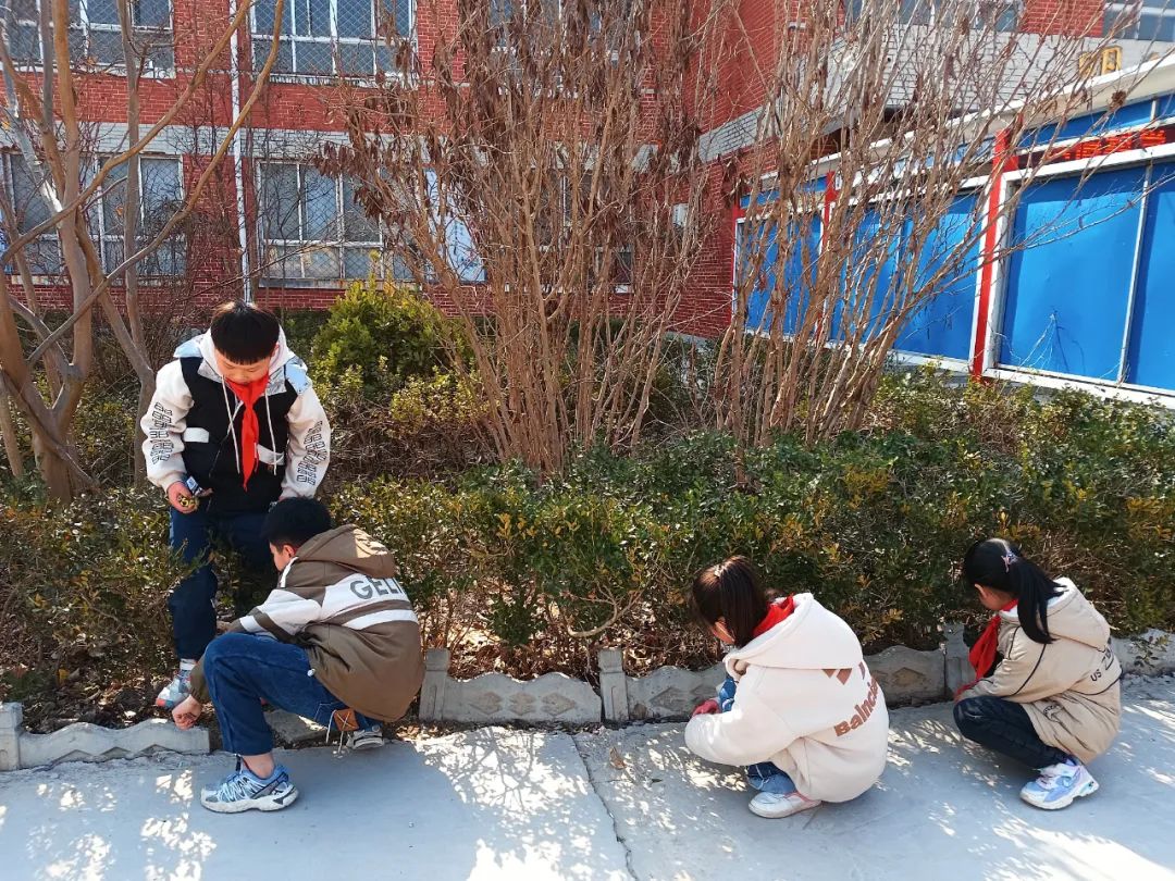 学雷锋，邢台市教育系统在行动