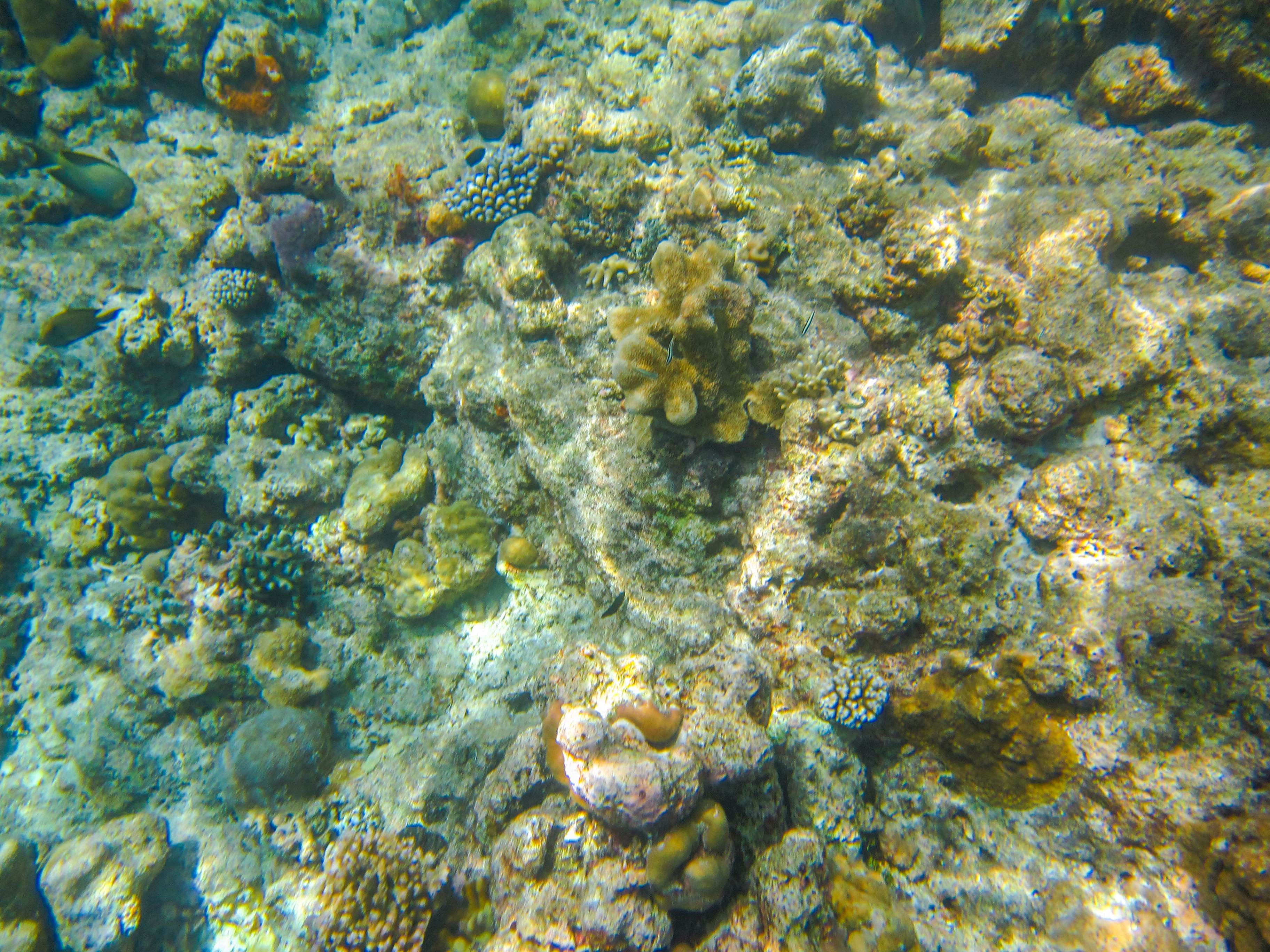 孤悬在太平洋上的岛国，帕劳，人生最值得一去的旅游目的地之一