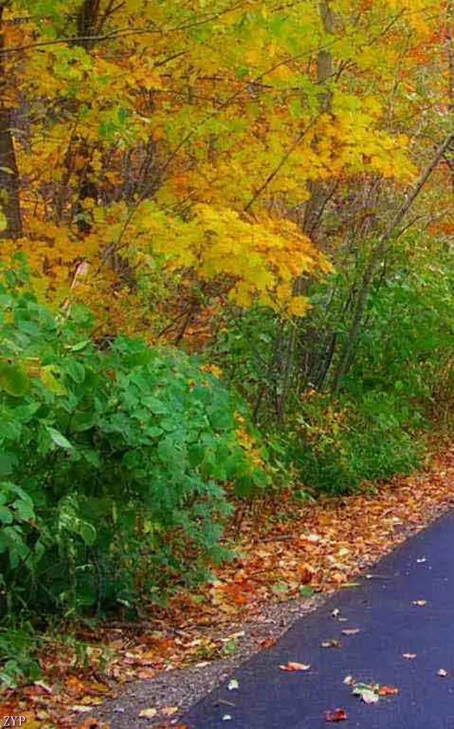 100张美照！真养眼