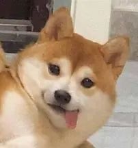 看点好康的！|公众科学日·线上图书展