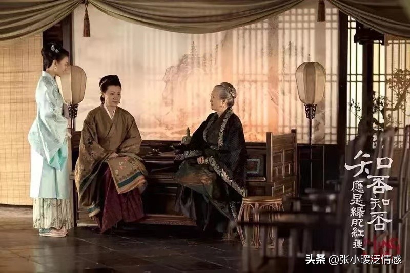 《知否》：顾家最虚伪的小姑子，羞辱明兰、硬刚公主、模仿大*氏秦**