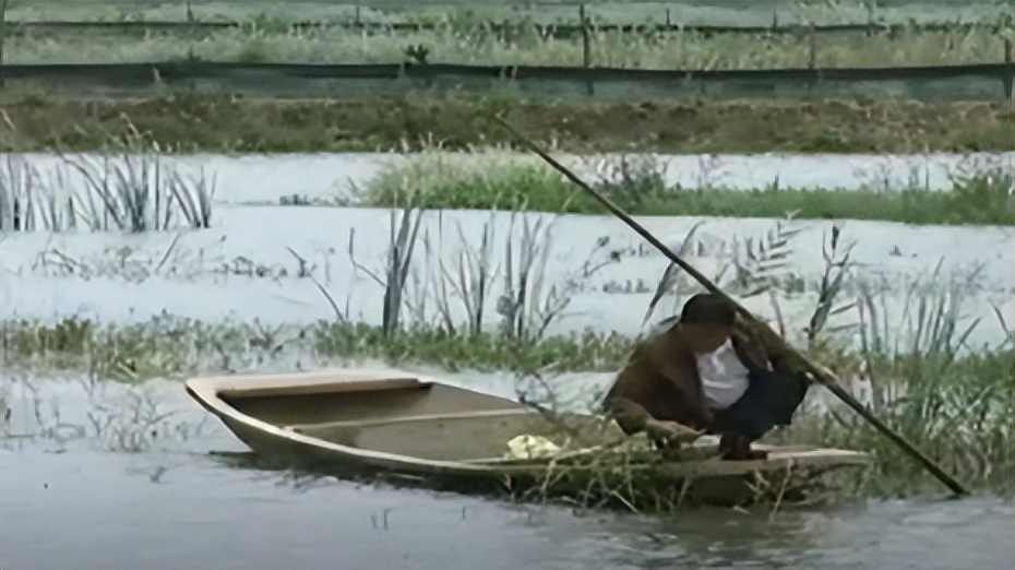 两只螃蟹拍卖出20万，农村大叔养出天价蟹，带动当地年收入20亿