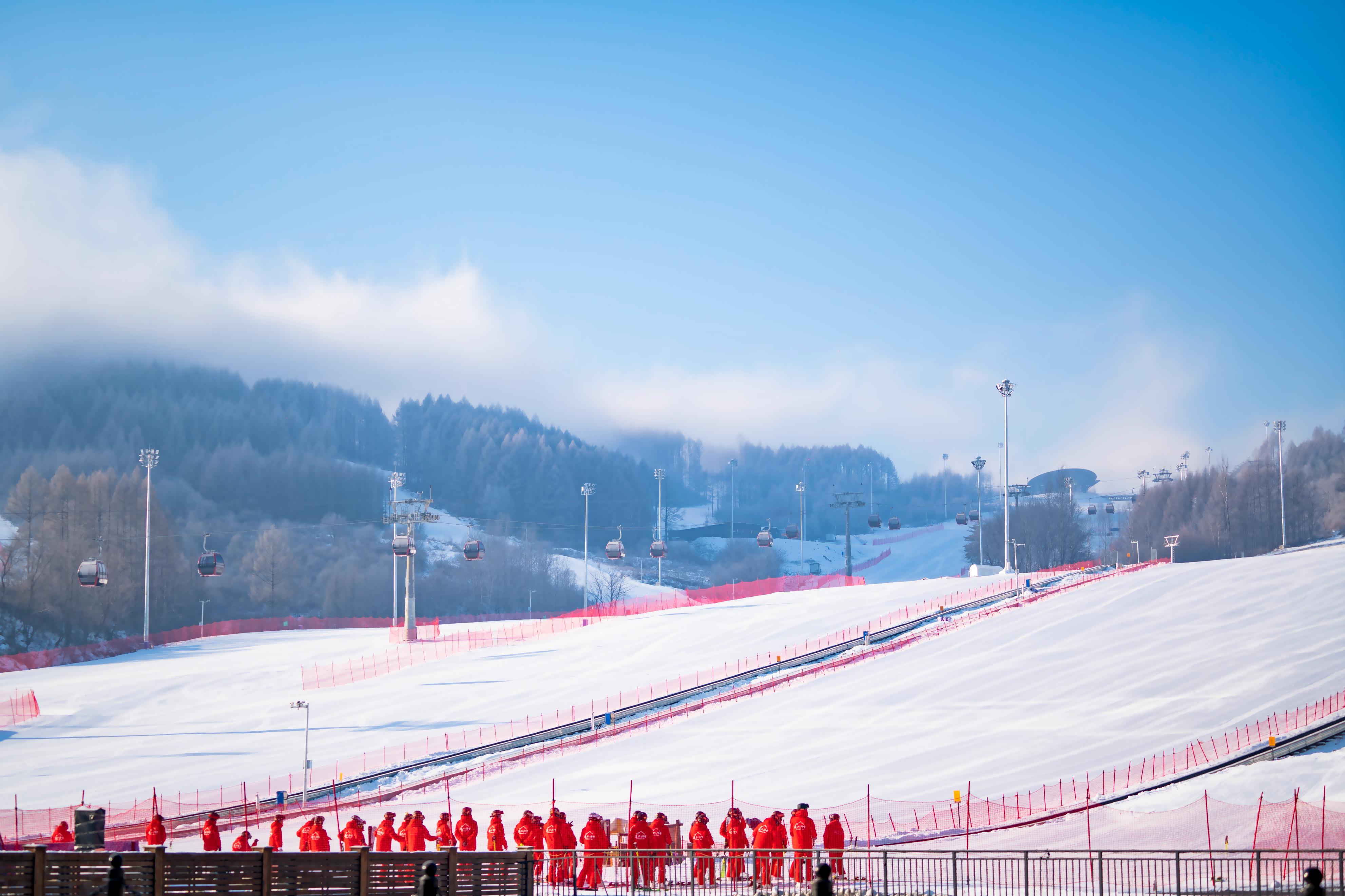 万峰通化滑雪度假区开板时间,通化万峰滑雪度假区种的什么树
