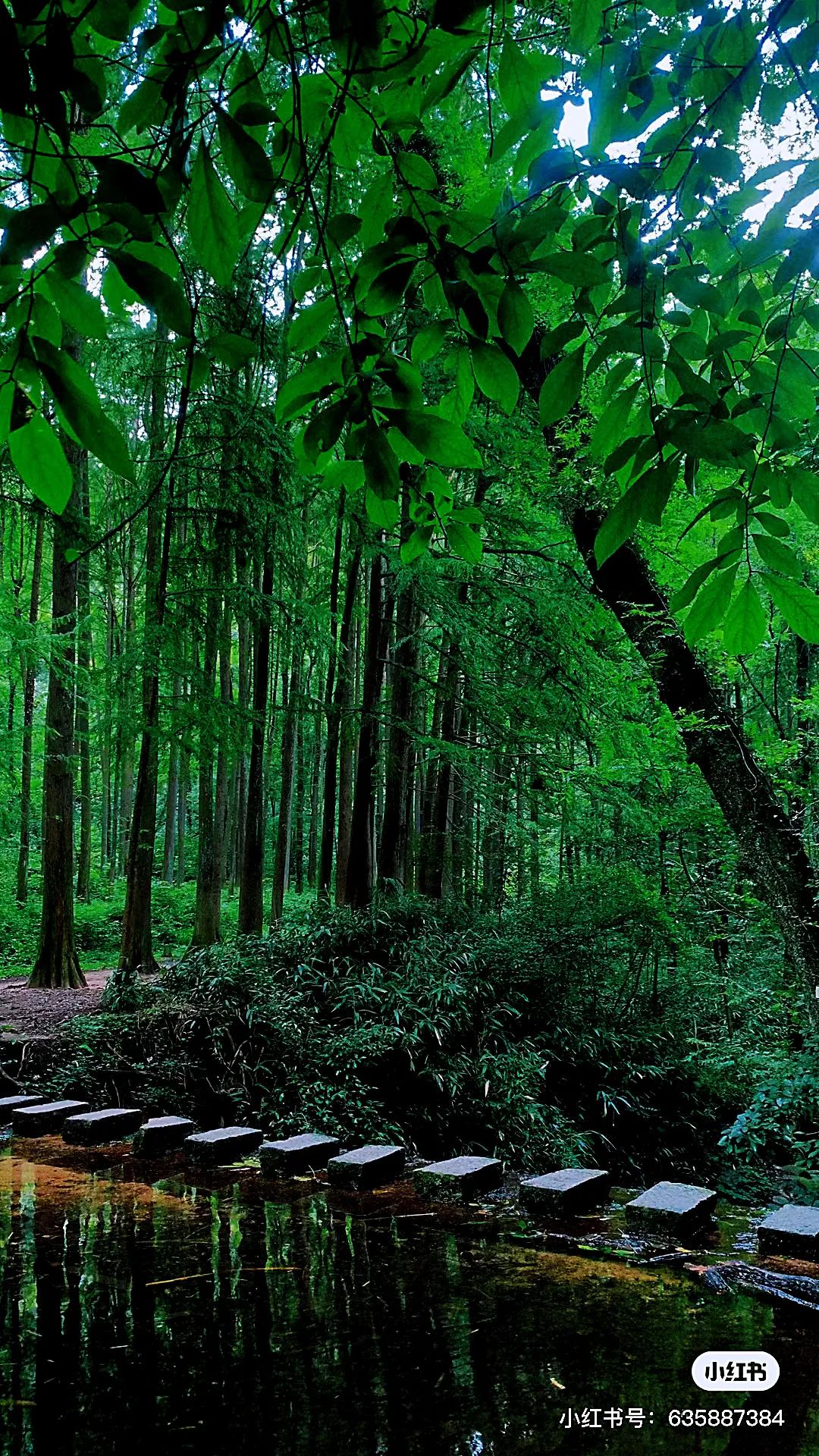 信阳南湾湖一日游详细攻略,信阳三日游攻略路线