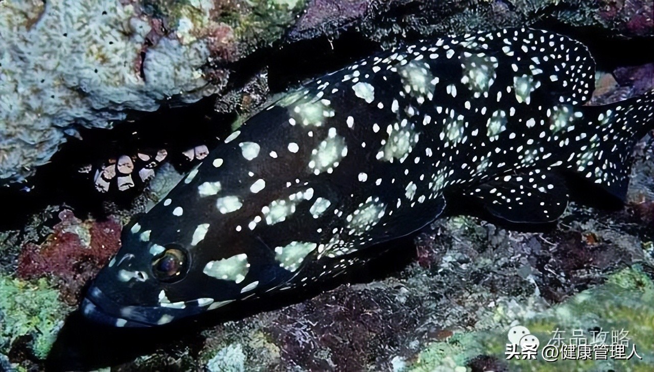 美容护肤食疗方案,美容护肤养生介绍