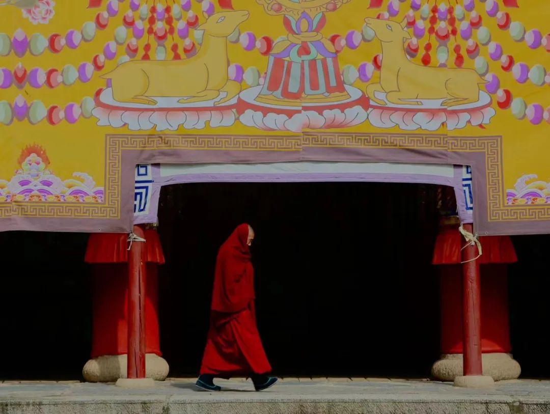 都去挤*疆新**？我选这个20°C的西北秘境