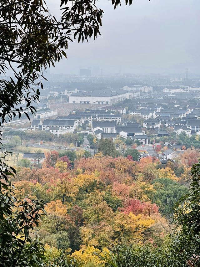 苏州秋季旅游最值得去的地方,苏州赏秋一日游攻略