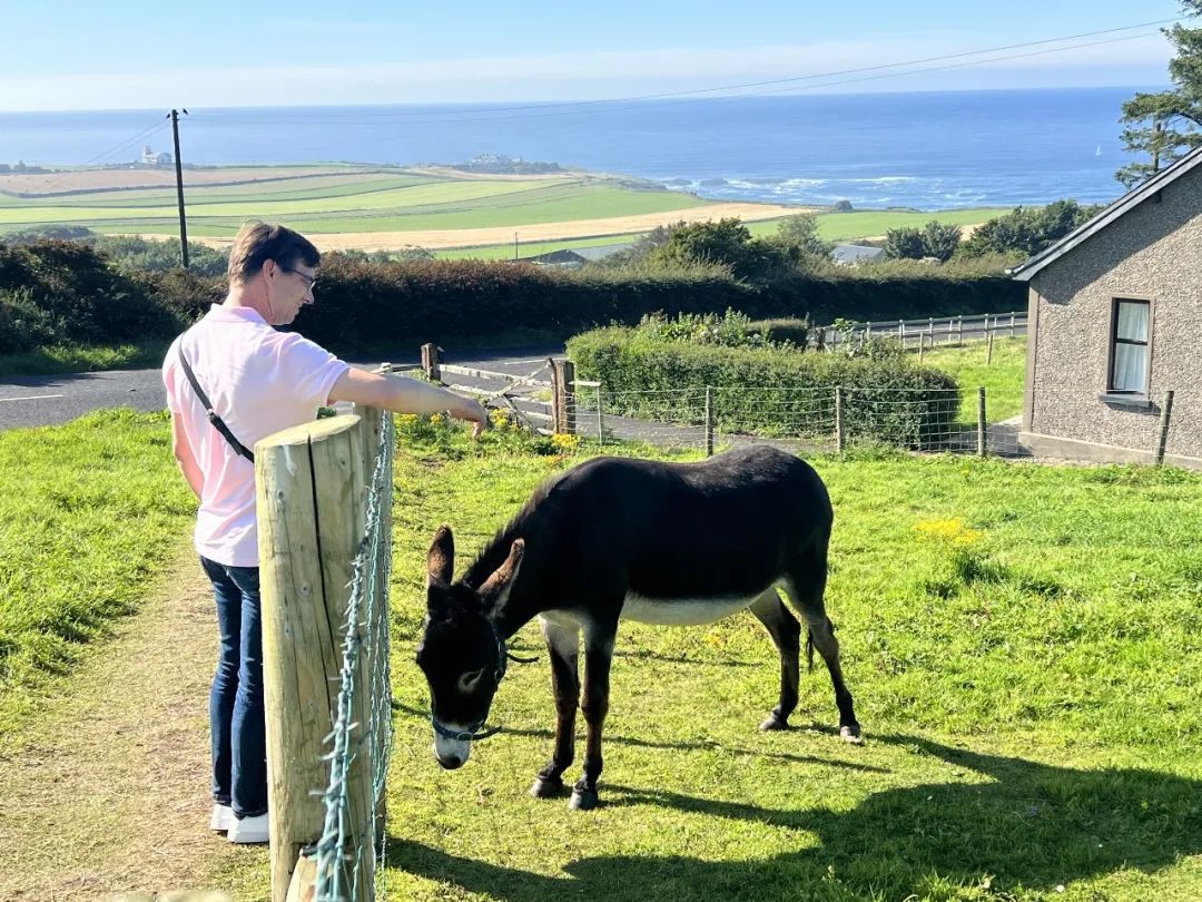 跟老公去英国生活,和老公一起去伦敦旅游