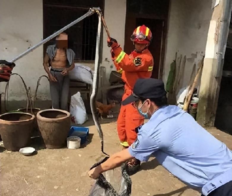 “蛇灭门”到底有多神奇？揭秘老人口中的杀蛇神器！