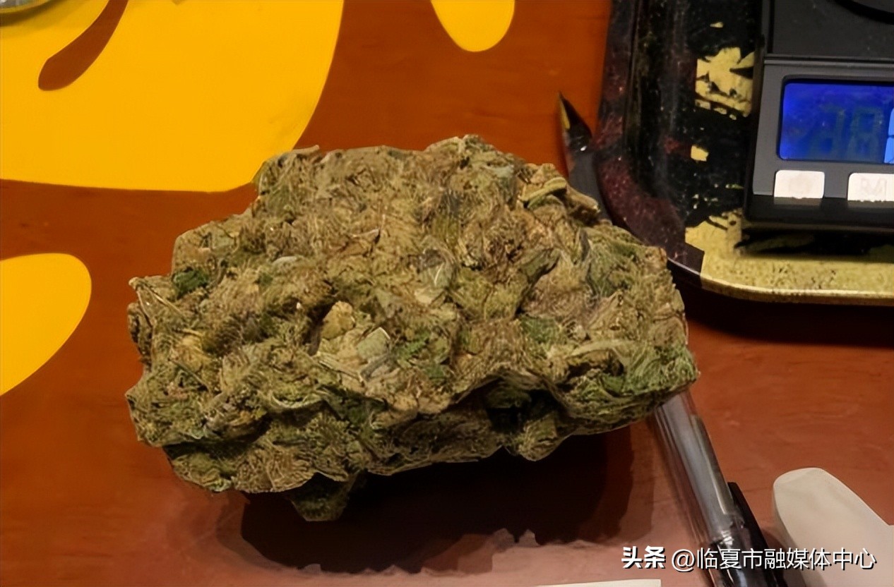 大众版暗网？闲鱼上的暗语你都懂吗